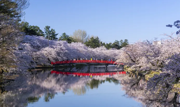 弘前城與弘前公園的秋季景色 弘前城與弘前公園的秋季景色