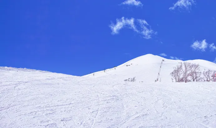 二世古聯盟滑雪場 二世古聯盟滑雪場