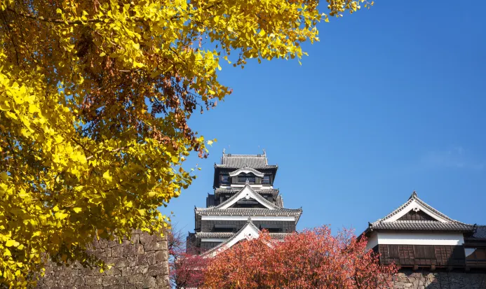 熊本城天守閣與秋季金黃銀杏景緻 熊本城天守閣與秋季金黃銀杏景緻