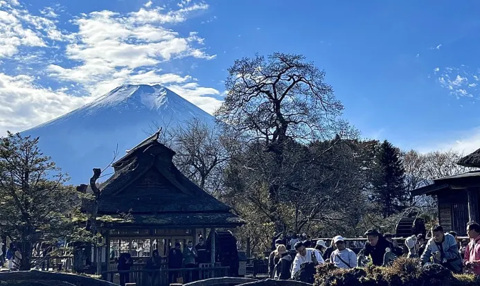 忍野八海必打卡景點 忍野八海必打卡景點