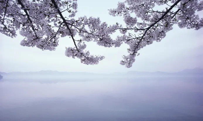 田澤湖的湖光山色 田澤湖的湖光山色