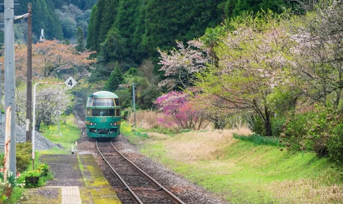 行駛於九州的由布院之森觀光列車 行駛於九州的由布院之森觀光列車