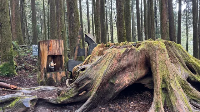 阿里山森林園區
