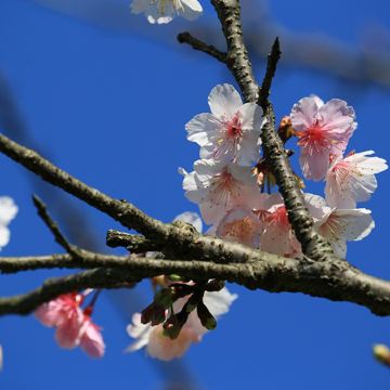 台北+礁溪 美景溫泉5天寫意之旅 八斗子車站、深澳漁港海天步道+潮境公園、正濱漁港彩色屋、淡水漁人碼頭、幾米廣場、全日自由活動 *再減-$160憑指定中銀咭推廣碼【BOC160A3】