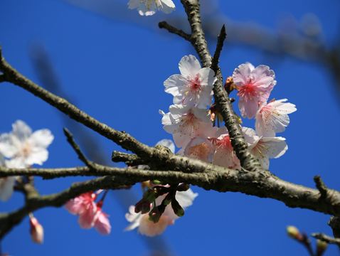 台北+礁溪 美景溫泉5天寫意之旅 八斗子車站、深澳漁港海天步道+潮境公園、正濱漁港彩色屋、淡水漁人碼頭、幾米廣場、全日自由活動 *再減-$160憑指定中銀咭推廣碼【BOC160A3】