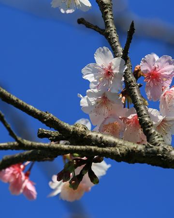 台北+礁溪 美景溫泉5天寫意之旅 八斗子車站、深澳漁港海天步道+潮境公園、正濱漁港彩色屋、淡水漁人碼頭、幾米廣場、全日自由活動 *再減-$160憑指定中銀咭推廣碼【BOC160A3】