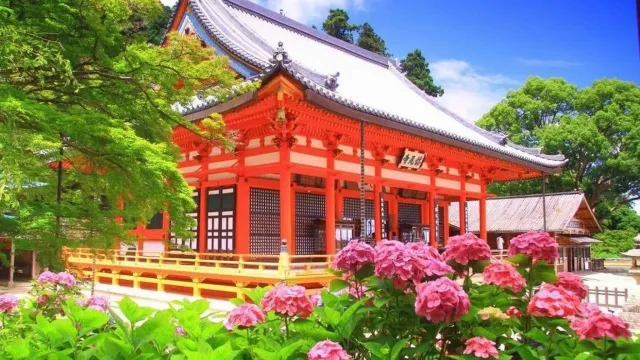 「達摩不倒翁寺」勝尾寺