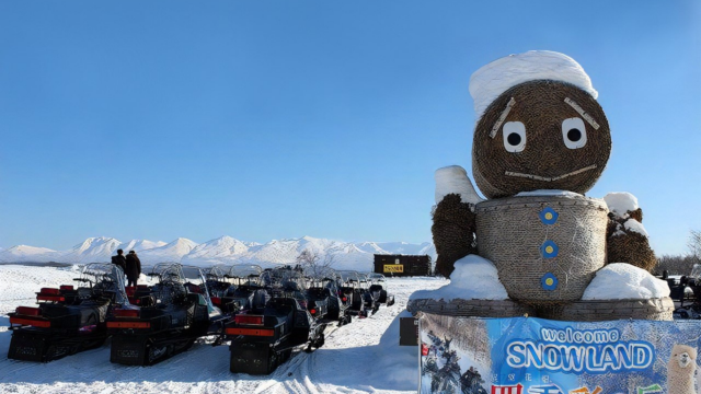 美瑛四季彩之丘冬天