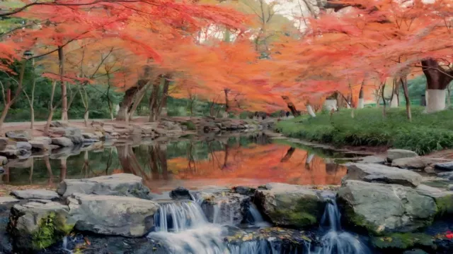 杭州九溪煙樹紅楓