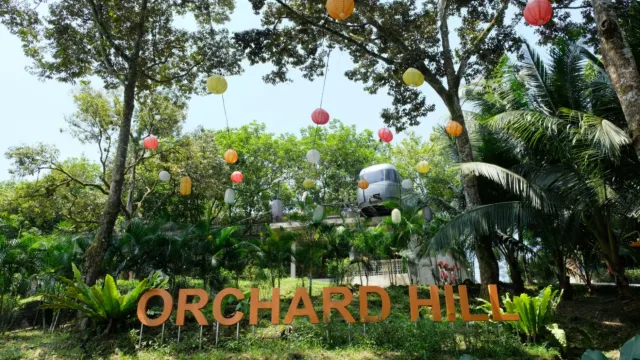 Orchard Hill 