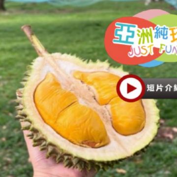 《季節限定 榴槤任食》 吉隆坡+馬六甲 豪歎美食 純玩5天團 【全程保證入住五星級酒店~ JW Marriott Hotel +【永安尊享】 Birkin  International】