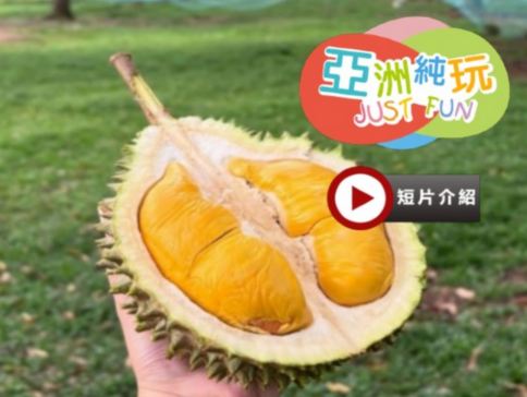 《季節限定 榴槤任食》 吉隆坡+馬六甲 豪歎美食 純玩5天團 【全程保證入住五星級酒店~ JW Marriott Hotel +【永安尊享】 Birkin  International】