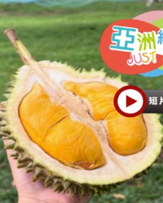 《季節限定 榴槤任食》 吉隆坡+馬六甲 豪歎美食 純玩5天團 【全程保證入住五星級酒店~ JW Marriott Hotel +【永安尊享】 Birkin  International】