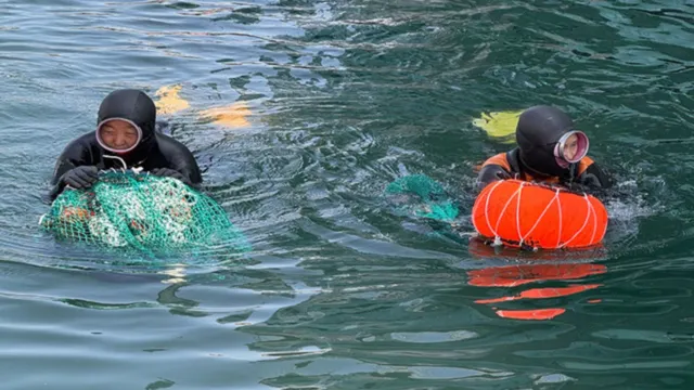 海女下水表演秀