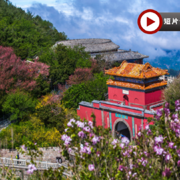 【國泰航空】【人氣】山東5天升純團  青島(八大關、青島啤酒博物館)、泰安(五嶽之首~泰山)、濟南(大明湖、黑虎泉)、濰坊(楊家埠民間藝術大觀園)