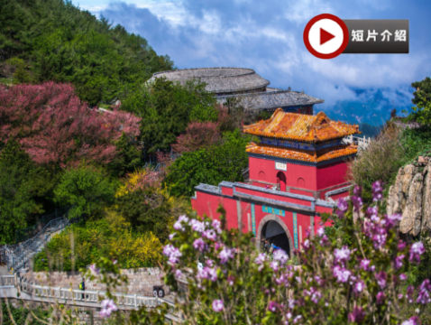 【國泰航空】【人氣】山東5天升純團  青島(八大關、青島啤酒博物館)、泰安(五嶽之首~泰山)、濟南(大明湖、黑虎泉)、濰坊(楊家埠民間藝術大觀園)