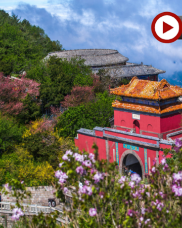 【國泰航空】【人氣】山東5天升純團  青島(八大關、青島啤酒博物館)、泰安(五嶽之首~泰山)、濟南(大明湖、黑虎泉)、濰坊(楊家埠民間藝術大觀園)