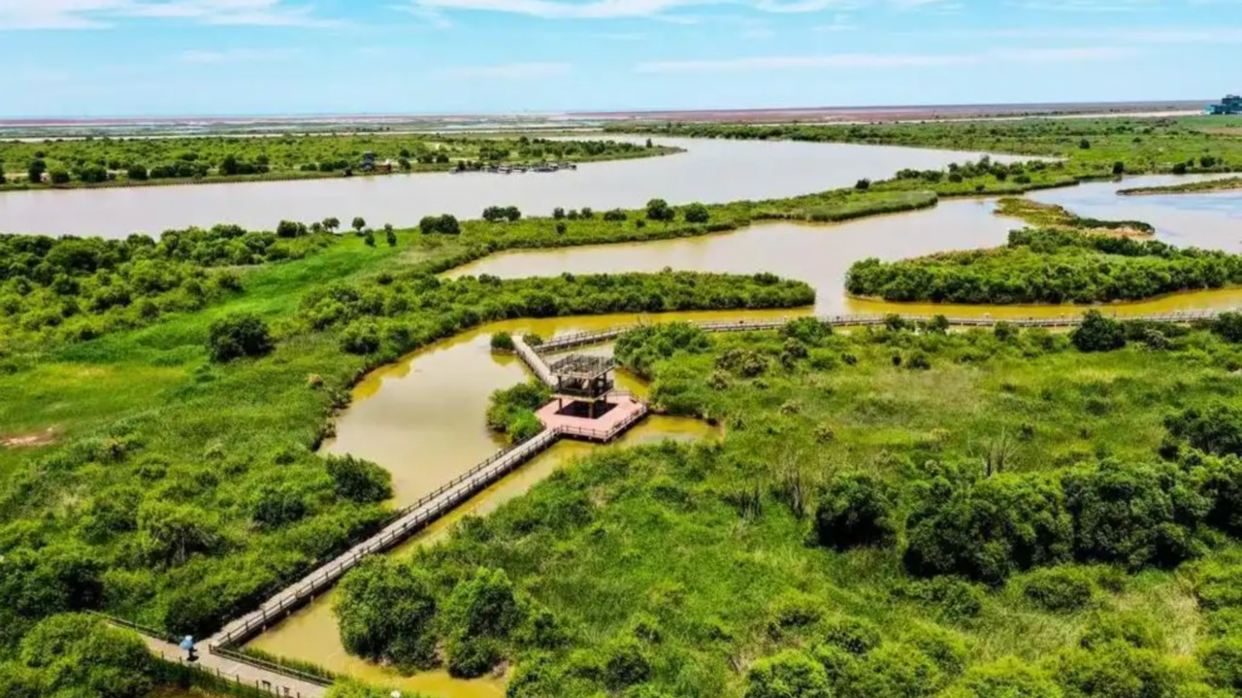 黃河口生態旅游區