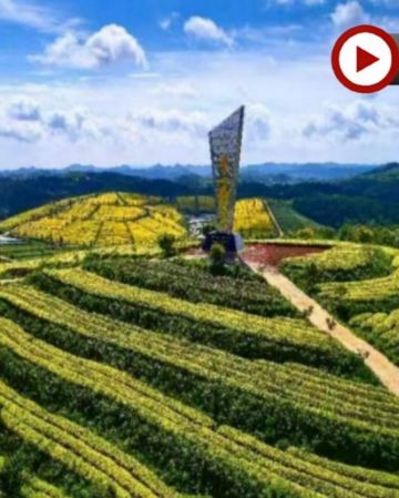 光影貴州‧打卡自然風光‧🍃茶香橋韻🍃 貴陽、安順、興義5天純玩高鐵團 中國及亞洲第一大瀑布~黃果樹大瀑布、萬峰林、龍宮龍字田、黃金芽茶葉種植基地、遠眺花江峽谷大橋、貴陽地標甲秀樓夜景