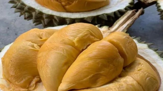 紅園(365檳城榴槤園)