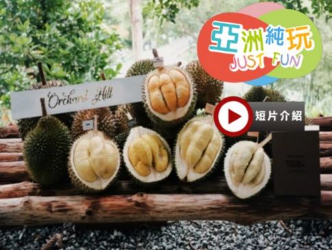 【天空之鏡】《永安雙獨家~榴槤果園+全新夜景山頂餐廳》【季節限定㊣各種名貴榴槤任食】+吉隆坡【永安獨家全新夜景山頂餐廳Puncak ALOP】+馬六甲河遊船 榴槤任食 5天之旅
