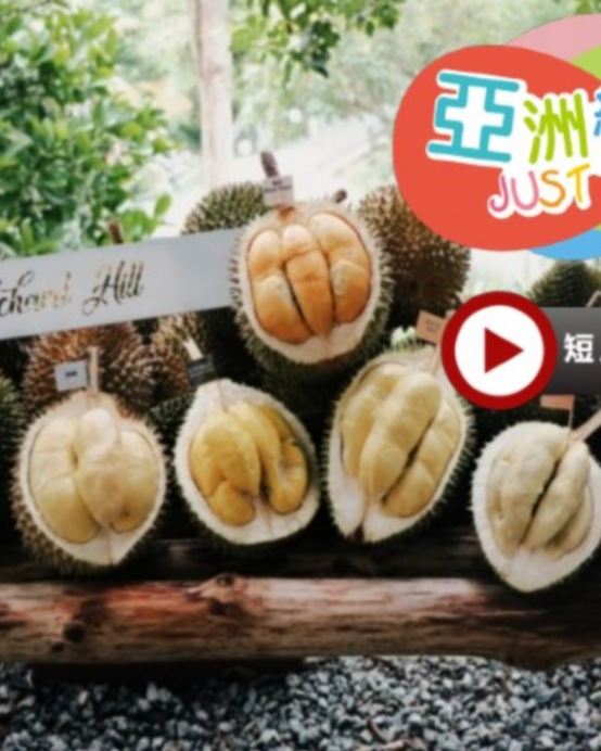 天空之鏡《永安雙獨家~榴槤果園+全新夜景山頂餐廳》【季節限定㊣各種名貴榴槤任食】+吉隆坡【永安獨家全新夜景山頂餐廳Puncak ALOP】+馬六甲河遊船 榴槤任食 5天之旅