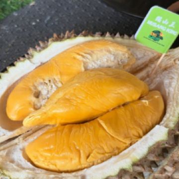 新加坡+馬來西亞6天 榴槤任食 玩樂團《季節限定 榴槤任食》布城遊船體驗 + Gardens by the Bay濱海灣花園 + Aquaria KLCC水族館