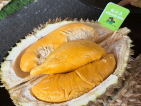 《季節限定 榴槤任食》 新加坡+馬來西亞6天 玩樂團 - 布城遊船體驗 + Gardens by the Bay濱海灣花園 + Aquaria KLCC水族館