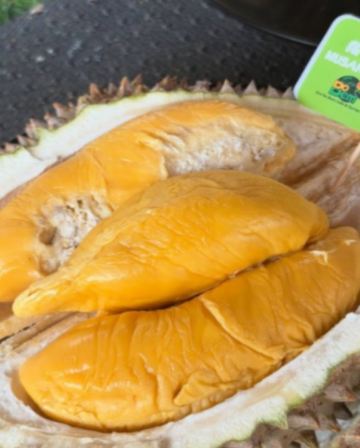 《季節限定 榴槤任食》 新加坡+馬來西亞6天 玩樂團 - 布城遊船體驗 + Gardens by the Bay濱海灣花園 + Aquaria KLCC水族館