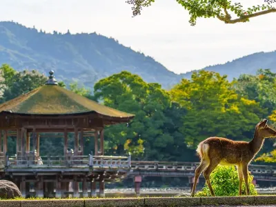 大阪、京都、奈良、和歌山 美景玩樂5天之旅【尊享香港航空貴賓室】「世界文化遺產」金閣寺、八坂神社、祇園花見小路、「日本百大名城」和歌山城、紅葉溪庭園、「世界文化遺產」奈良東大寺、神鹿公園、一天自由活動 大阪、京都、奈良、和歌山 美景玩樂5天之旅【尊享香港航空貴賓室】「世界文化遺產」金閣寺、八坂神社、祇園花見小路、「日本百大名城」和歌山城、紅葉溪庭園、「世界文化遺產」奈良東大寺、神鹿公園、一天自由活動