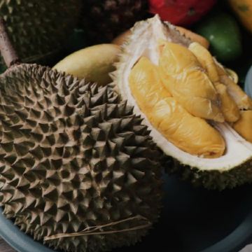 《永安獨家果園》【季節限定㊣榴槤任食】吉隆坡+雪蘭莪+馬六甲悠閒5天團 《【永安獨家】人氣果園~ Orchard Hill【細味品嚐】任食各種名貴榴槤+瓜拉雪蘭莪 (欣賞海洋奇觀【藍眼淚】及螢火蟲)》