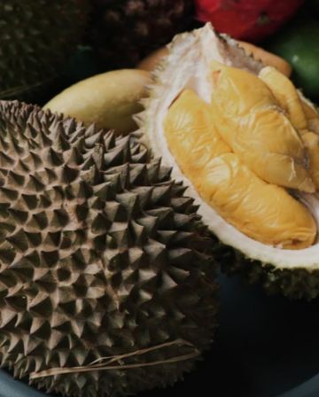 《永安獨家果園》【季節限定㊣榴槤任食】吉隆坡+雪蘭莪+馬六甲悠閒5天團 《【永安獨家】人氣果園~ Orchard Hill【細味品嚐】任食各種名貴榴槤+瓜拉雪蘭莪 (欣賞海洋奇觀【藍眼淚】及螢火蟲)》