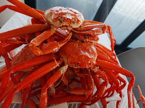 無限量任食東海名物紅蟹