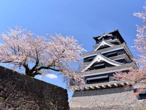 熊本、鹿兒島、福岡 親子春日7天溫泉之旅  賞櫻名所(熊本城、熊本回遊式庭園～水前寺公園、仙巖園、霧島神宮、「米芝蓮景點推介」太宰府～天滿宮)、由布院花卉村、「夢幻湖泊」金鱗湖、糸島(夫婦岩)