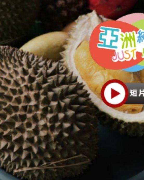 《永安獨家果園》【季節限定㊣榴槤任食】吉隆坡+雪蘭莪+馬六甲悠閒5天團 《【永安獨家】人氣果園~ Orchard Hill【細味品嚐】任食各種名貴榴槤+瓜拉雪蘭莪 (欣賞海洋奇觀【藍眼淚】及螢火蟲)》