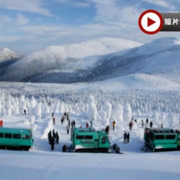 東北、東京 冬日秘景7天溫泉之旅  山形絕景~藏王樹冰奇景(雪怪車/吊椅)/天鏡閣+「日本第一美溪」嚴美溪、日光東照宮、「日本百大名城」弘前城