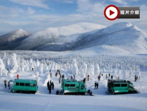 東北、東京 冬日秘景7天溫泉之旅  山形絕景~藏王樹冰奇景(雪怪車/吊椅)/天鏡閣+「日本第一美溪」嚴美溪、日光東照宮、「日本百大名城」弘前城