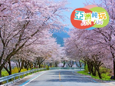 麗水+鎮海+釜山6天花見之旅 ※專業攝影師「LAP YAN 立恩」帶領，手機拍出超靚花花世界， 走遍各個熱門及隱世花境，捕捉韓國最美花季!  《純玩團‧不設指定購物點》