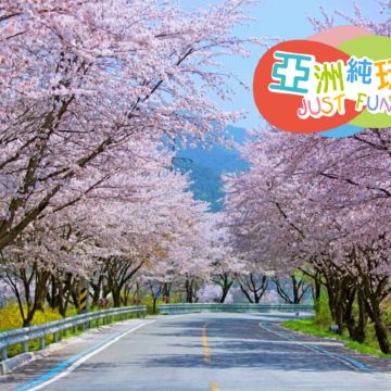麗水+鎮海+釜山6天花見之旅 ※專業攝影師「LAP YAN 立恩」帶領，手機拍出超靚花花世界， 走遍各個熱門及隱世花境，捕捉韓國最美花季!  《純玩團‧不設指定購物點》