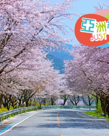 麗水+鎮海+釜山6天花見之旅 ※專業攝影師「LAP YAN 立恩」帶領,手機拍出超靚花花世界, 走遍各個熱門及隱世花境,捕捉韓國最美花季! 《純玩團‧不設指定購物點》