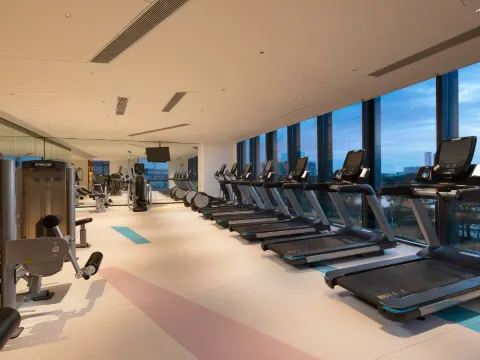 南海利泰皇冠假日酒店 健身室