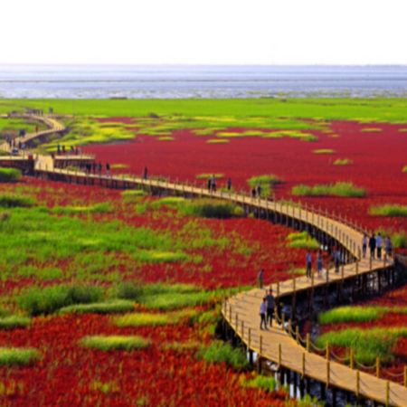 【季節限定】楓紅如畫🍁東北金秋追楓8天純玩之旅  賞秋勝地【關門山、天橋溝、五女山、紅海灘】、丸都山城、中朝國門、河口景區、鴨綠江斷橋、乘船遊鴨綠江、虎山長城、永安尊享《遼河聚福‧非遺漁家宴》