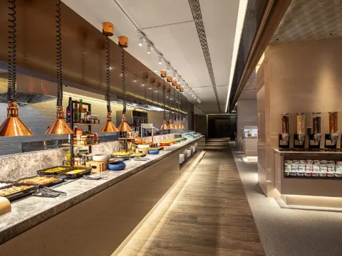 日月潭力麗溫德姆溫泉酒店