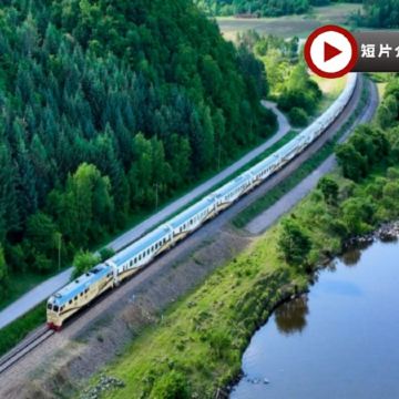 【奢華豪華旅遊專列~林都號 東北8天美景之旅】 關東第一名山~長白山、王朝聖地溫泉酒店、雪絨花馴鹿園、採挖長白山人參、冰雪大世界夢幻冰雪館、東北虎林園、朝鮮族民俗園、防川風景區一眼望三國、橫道河子鎮