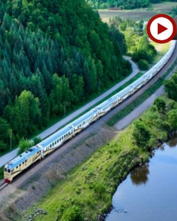 【奢華豪華旅遊專列~林都號 東北8天美景之旅】 關東第一名山~長白山、王朝聖地溫泉酒店、雪絨花馴鹿園、採挖長白山人參、冰雪大世界夢幻冰雪館、東北虎林園、朝鮮族民俗園、防川風景區一眼望三國、橫道河子鎮