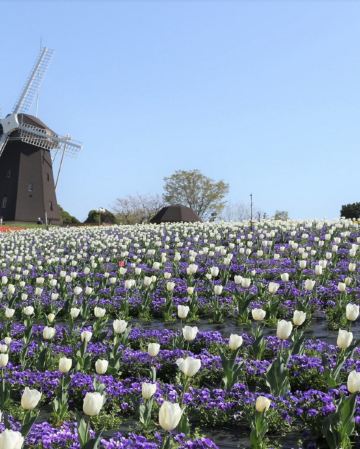 大阪、奈良、和歌山 春日美景5天之旅【尊享香港航空貴賓室】「賞花勝地」花博記念公園鶴見綠地~風車之丘、「日本櫻名所100選」興福寺~中金堂、保證入住1晚《國際品牌》南紀白濱Marriott 溫泉酒店