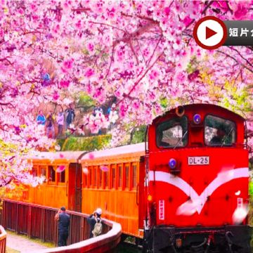  高雄+阿里山+台北精選 5天團 旗津半島(包渡輪體驗)~嘉義-阿里山風景區(小火車暢遊)*再減-$160憑指定中銀咭推廣碼【BOC160A3】