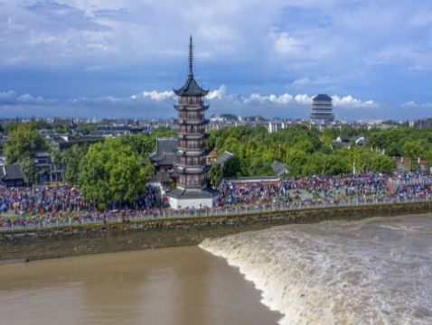 【壯觀天下無🌊賞一年一度錢塘江大潮】8天團 海寧觀潮、🌕沉浸式宮廷中秋盛宴~禾宴、無錫(清名橋古運河遊船、黿頭渚、惠山古鎮)、杭州(西湖)、嘉善(雲瀾灣溫泉)、濮院時尚古鎮、紹興、蘇州、上海