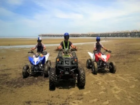 Golden Palm Tree Sepang 黃金棕櫊度假村