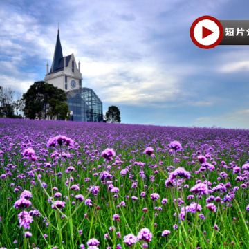 江城武漢 5天純玩高鐵團   黃鶴樓、東湖風景區、雲夢祥雲灣、花博匯、非遺打鐵花表演、武漢江灘夜景、古德寺、光谷空軌、長江輪渡賞日落、品嚐蔡林記過早九宮格、漢口喜來登酒店海鮮自助晚餐
